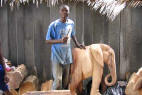 La cte d'ivoire possde une production traditionnelle de BRONZE AFRICAIN.
